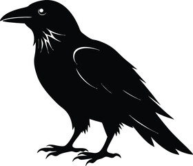 Raven Silhouette Vector, Raven Mysterious Bird