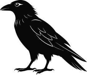 Raven Silhouette Vector, Raven Mysterious Bird