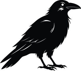 Fototapeta premium Raven Silhouette Vector, Raven Mysterious Bird