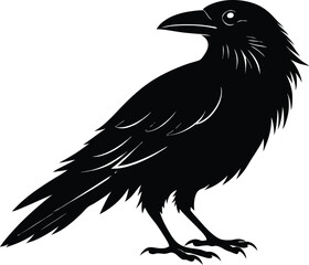 Raven Silhouette Vector, Raven Mysterious Bird