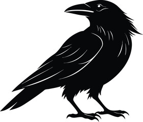 Raven Silhouette Vector, Raven Mysterious Bird