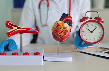 Medical professional demonstrating heart model, artery model, clock during patient consultation in...