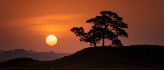 Selbstklebende Fototapeten Silhouette of a tree stands against the rising sun illuminating the misty landscape with warm morning light © adinuranjaya