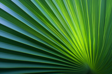 Obraz premium A leafy green plant with a long, thin stem. The leaf is curved and has a green color