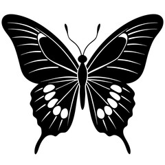 Butterfly silhouette vector illustration on white background