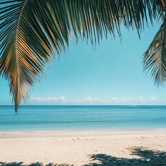 Naklejka premium clear sky and some coconut leaves on the beach