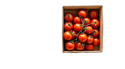 A cardboard box filled with fresh cherry tomatoes on the vine viewed from directly above on  isolated on transparent background