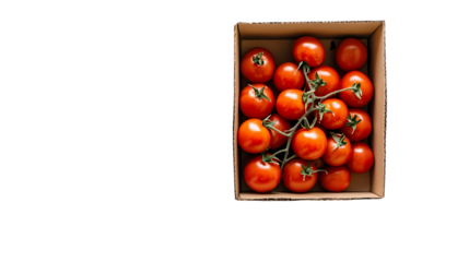 A cardboard box filled with fresh cherry tomatoes on the vine viewed from directly above on  isolated on transparent background