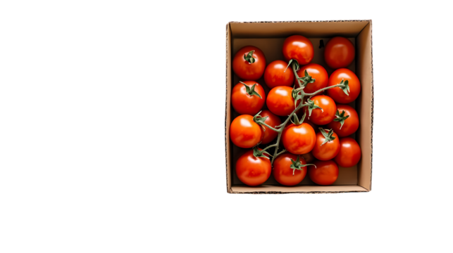A cardboard box filled with fresh cherry tomatoes on the vine viewed from directly above on  isolated on transparent background