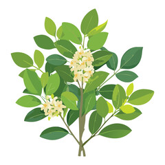 Fresh Green Leaves White Flowers