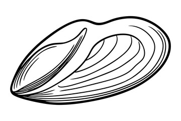 Mussel Shell Open Line Drawing
