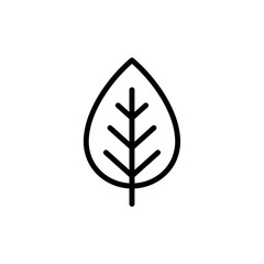 Simple line art leaf illustration with detailed veins  