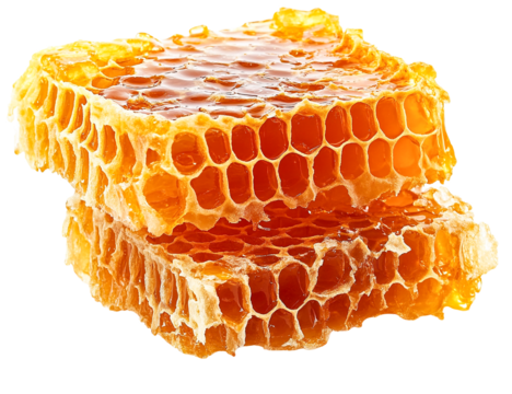 Golden honeycomb pieces delicious sweet treat isolated on transparent PNG