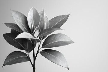 Monochromatic depiction of a plant branch with leaves.