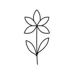 Flower line vector illustration