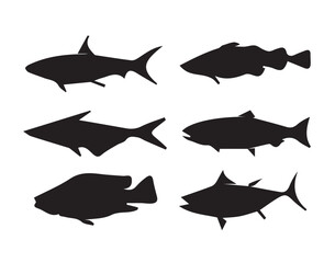 fish_shadow_abstract_group_vector_image