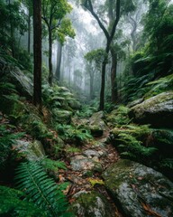 Obraz premium Misty Rainforest Path: Lush Green Vegetation and Mossy Rocks