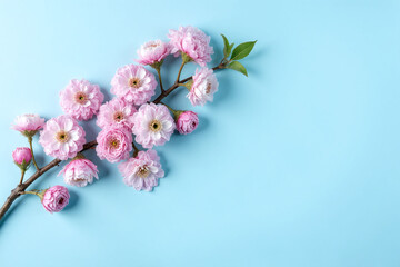 branch with pink flowers on a blue background