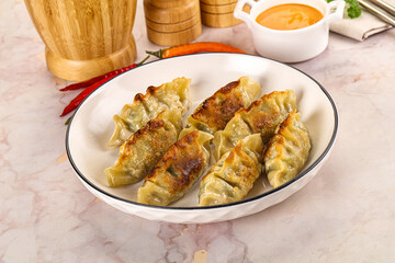 Japanese fried Gyoza stuffed dumplings