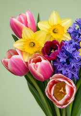 Obraz premium A stunning bouquet of colorful tulips, daffodils, and hyacinths in full bloom.