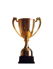 godeb trophy on white