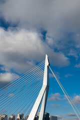 Rotterdam - Erasmusbrücke