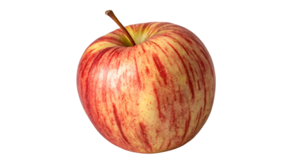 Single Fresh Gala Apple with Red and Yellow Stripes Isolated on White