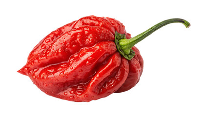 Extreme Red Carolina Reaper Chili Pepper Isolated on White