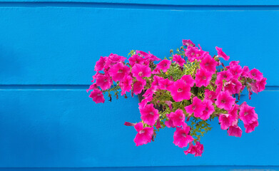 gflowers grass garden decoration