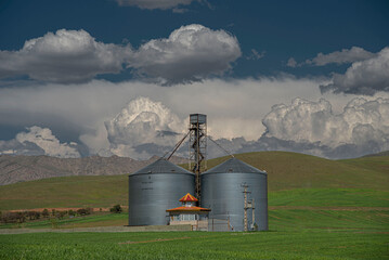 Shiny Metal Grain Silos Standing in a Green Wheat Field Under a Dramatic Cloudy Sky