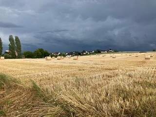 Dark ominous clouds in front of the hurricane over a green field. Awesome photo of the texture of storm clouds. Adverse weather conditions. Wallpaper force of nature. Discover the beauty of earth.