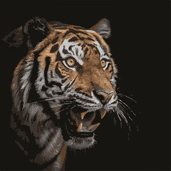 Fototapeta premium Majestic tiger portrait against black background