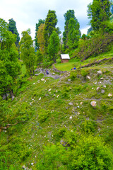Himalayan Treks – Exploring Sar Pass, Snow Trails of Himachal & Uttarakhand Heights
