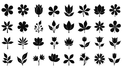 Collection of Black Silhouette Flowers and Leaves on a White Background for Design