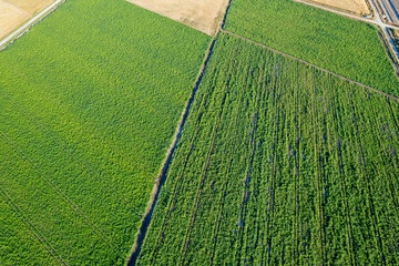 serene countryside drone photography of fields ready for harvest and active cultivation