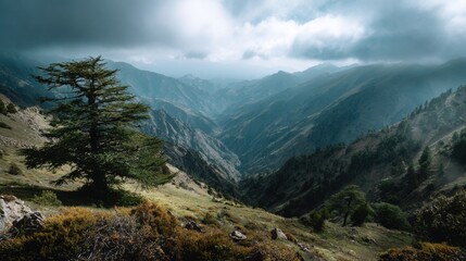 Fototapeta premium Majestic Mountain Vista: A dramatic mountain landscape under a moody sky. A lone tree stands tall on a hillside, offering a sense of perspective and solitude amidst the vastness.
