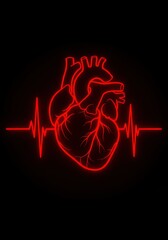 Human heart illustration with red pulsating heartbeat line. Medical diagram showing circulation and health. World Blood Donor Day, World Heart Day, World Health Day concept for banner ot poster.