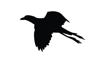 Flying Allen's gallinule bird Silhouette Design  And Vector Illustration. 