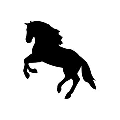 black horse isolated on white