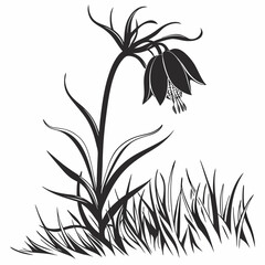 vector illustration of crown imperial