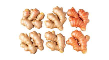Ginger and turmeric roots isolated on transparent background  