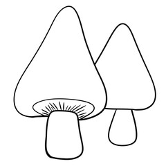 mushroom