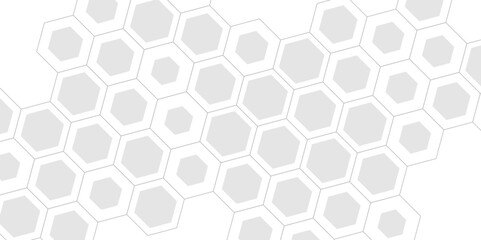 White and gray hexagonal abstract vector background clean geometric pattern design for medical, technology, corporate, or scientific presentations.