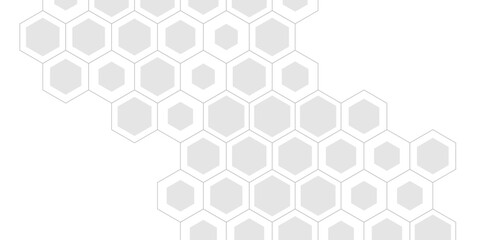 White and gray hexagonal abstract vector background clean geometric pattern design for medical, technology, corporate, or scientific presentations.