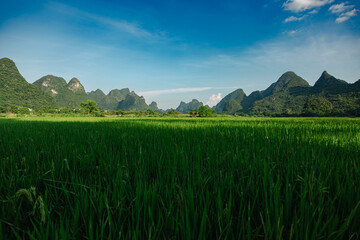 Asia China Guangxi Zhuang Autonomous Region Guilin Landscape
