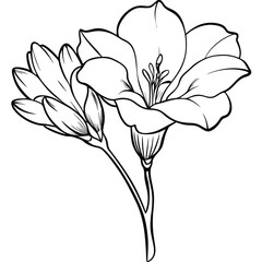 Vibrant Freesia Flower illustration with delicate full bloom petals