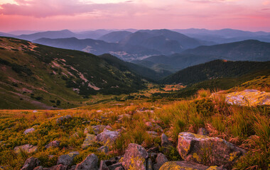 incredible summer lanfdscape, awesome morning dawn view, location Carpathian mountains, Ukraine,...
