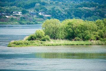 초록빛 가득한 작은 섬