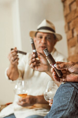 Mature friends enjoying cigars and brandy during a relaxing afternoon