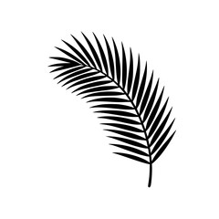 Fototapeta premium Black silhouette of a palm leaf